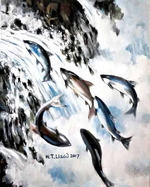 躍進 Salmon leaping 76x61cm Oil on canvas
